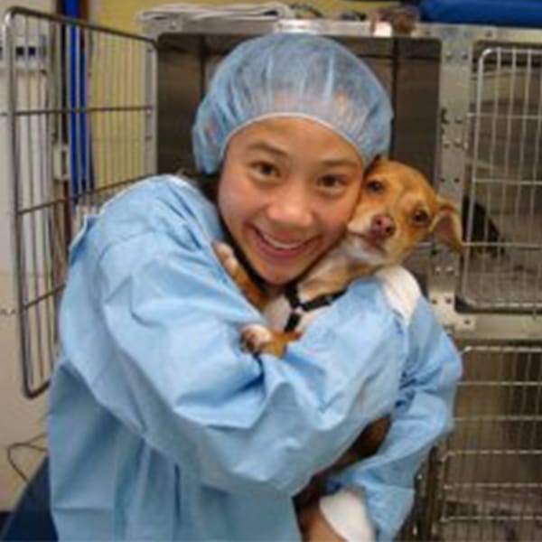 Dr. Angie Wong, Los Angeles Veterinarian